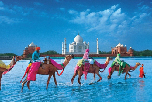 Rajasthan Tour