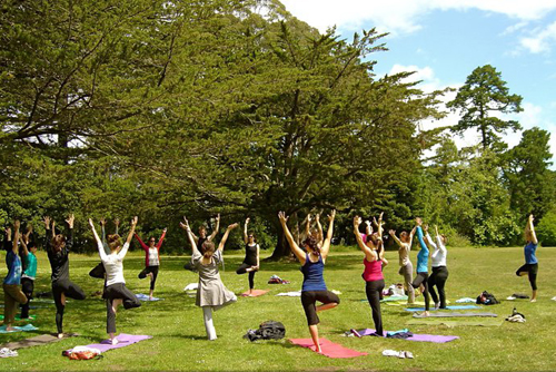 Yoga Tour